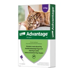 Advantage 80, 100 mg/ml, krople przeciw pchłom dla kotów powyżej 4 kg, 0,8 ml x 4 szt.