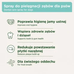 AniForte, Denta Clean & Care, spray do higieny jamy ustnej, dla psów 100 ml