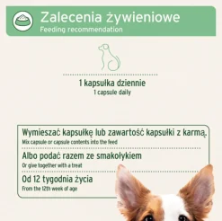 AniForte, Naturalna ochrona przed kleszczami, średnie psy, 60 szt