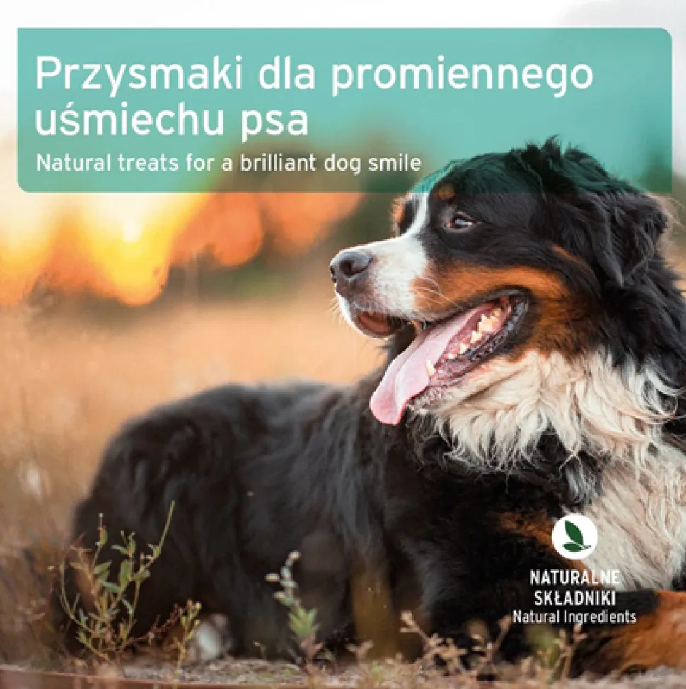 AniForte, przysmak na świeży oddech dla psów, 50 g