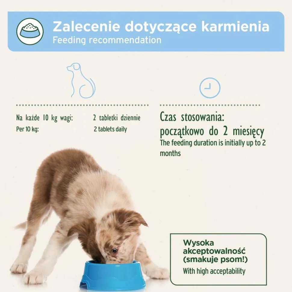 AniForte Skóra i sierść, tabletki dla psów, 90 szt.