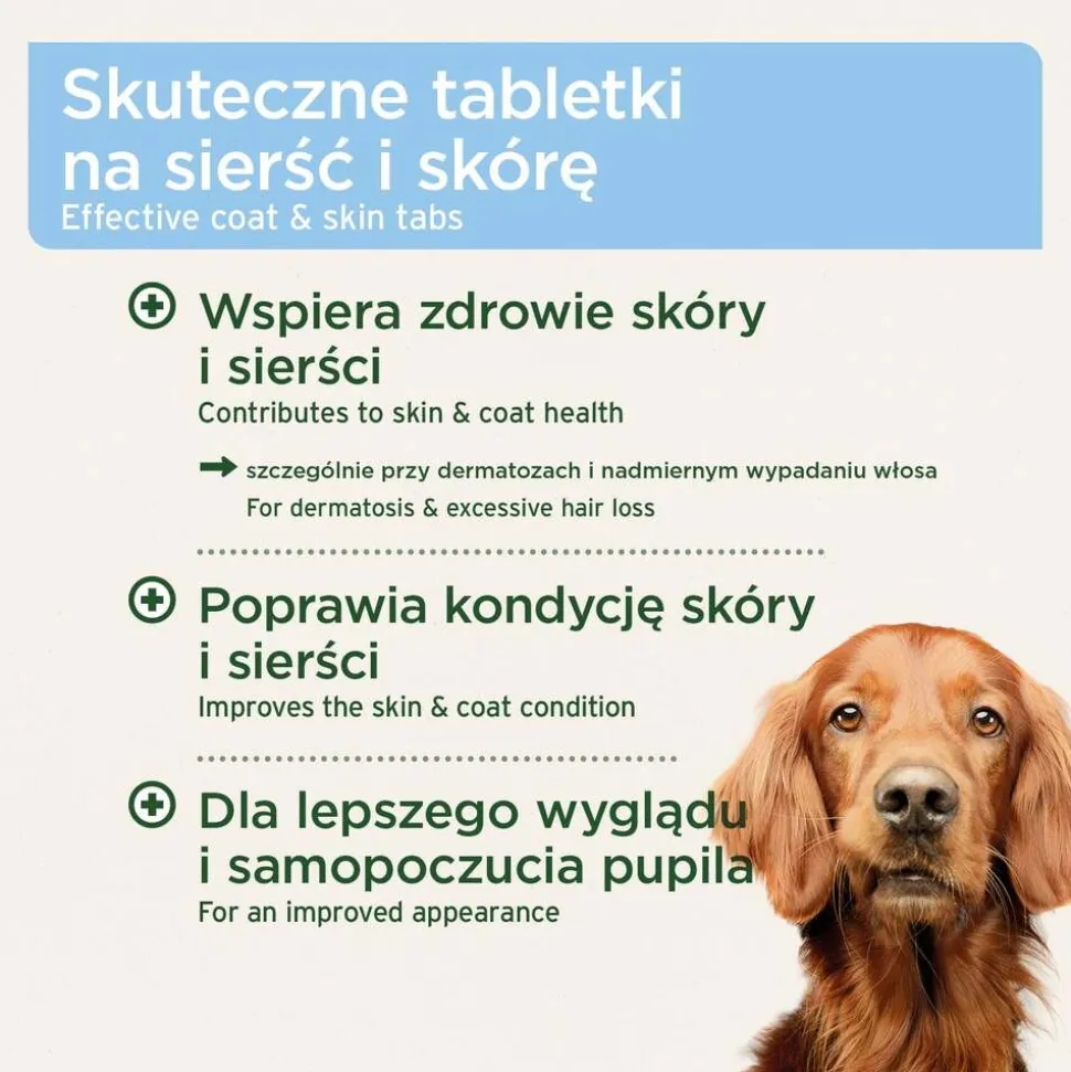 AniForte Skóra i sierść, tabletki dla psów, 90 szt.
