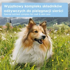AniForte Skóra i sierść, tabletki dla psów, 90 szt.