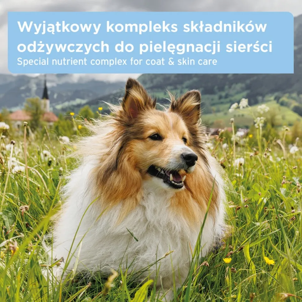 AniForte Skóra i sierść, tabletki dla psów, 90 szt.