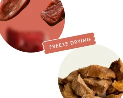 Ayla Help, filet z uda indyka, żywność regeneracyjna dla psa i kota, 2 x 19 g