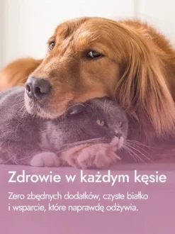 Ayla Help, serca indycze, żywność regeneracyjna dla psa i kota, 2 x 19 g