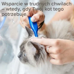 Beaphar CatComfort Calming Spot-On dla kotów, 3 x 0,55 ml