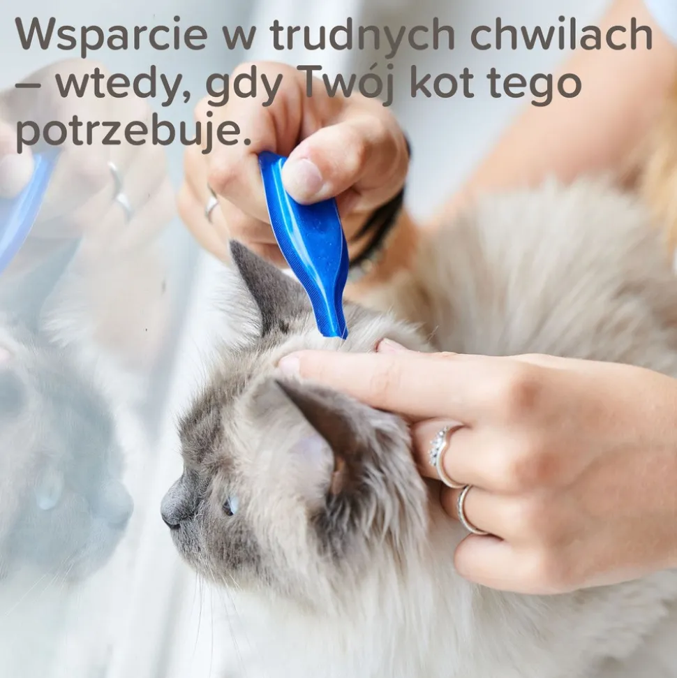 Beaphar CatComfort Calming Spot-On dla kotów, 3 x 0,55 ml
