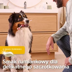 Beaphar Dental Kit Puppy, zestaw do czyszczenia zębów dla szczeniąt, 1 szt.