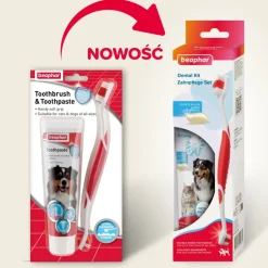 Beaphar Dental Kit, zestaw do czyszczenia zębów dla psów i kotów, 1 szt.
