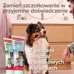 Beaphar Fingerpad Dental, czyścik do zębów dla psów i kotów, 2 szt.