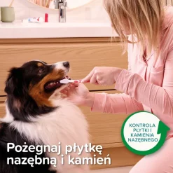 Beaphar pasta do zębów dla psów i kotów, smak mięty i pietruszki, 100 g