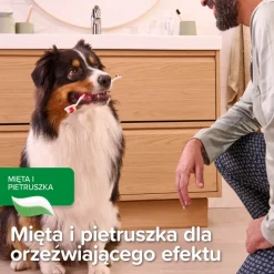 Beaphar pasta do zębów dla psów i kotów, smak mięty i pietruszki, 100 g