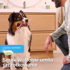 Beaphar Pasta, pasta do zębów dla psów i kotów, smak wątróbki, 100 g