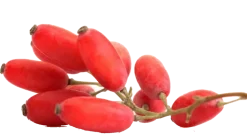 Bio Medical Pharma Berberine HCl, kapsułki twarde, 60 szt.