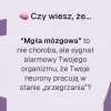 Biowen BrainFuel,  kapsułki twarde, 60 szt.