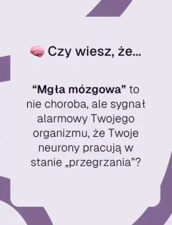 Biowen BrainFuel, kapsułki twarde, 60 szt.