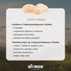 Biowen, Lion's mane, kapsułki, 90 szt.