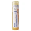 Boiron Rhus-toxicodendron, 15CH, granulki, 4g
