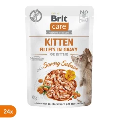 Brit Care Cat Fillets in Gravy, Kitten, mokra karma dla kociąt , łosoś, rokitnik zwyczajny i nasturcja, 85 g x 24 szt.