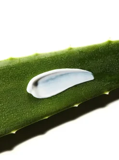 Cosrx Aloe Soothing Sun, krem przeciwsłoneczny, SPF 50 / PA+++, 50 ml