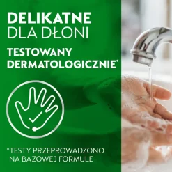 Dettol, antybakteryjne, mydło w płynie aloe vera, bezdotykowy aplikator, 250 ml