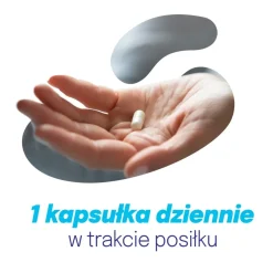 Dicoflor ProbioVir, kapsułki, 14 szt.