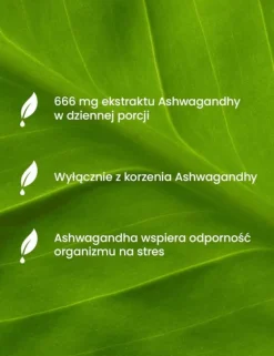 Essensey Ashwagandha Forte, kapsułki, 90 szt.