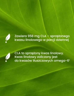 Essensey CLA, kapsułki, 90 szt.