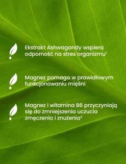 Essensey Cytrynian Magnezu + Ashwagandha, kapsułki, 90 szt.