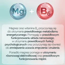 MGB6, tabletki, 30 szt. (Aflofarm)