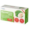 Morwa Biała MAX, tabletki, 60 szt.