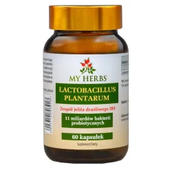 My Herbs Lactobacillus Plantarum, kapsułki, 60 szt.