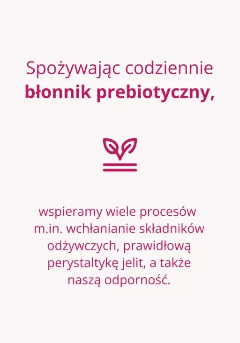 Omni Logic Fibre, proszek, 250 g