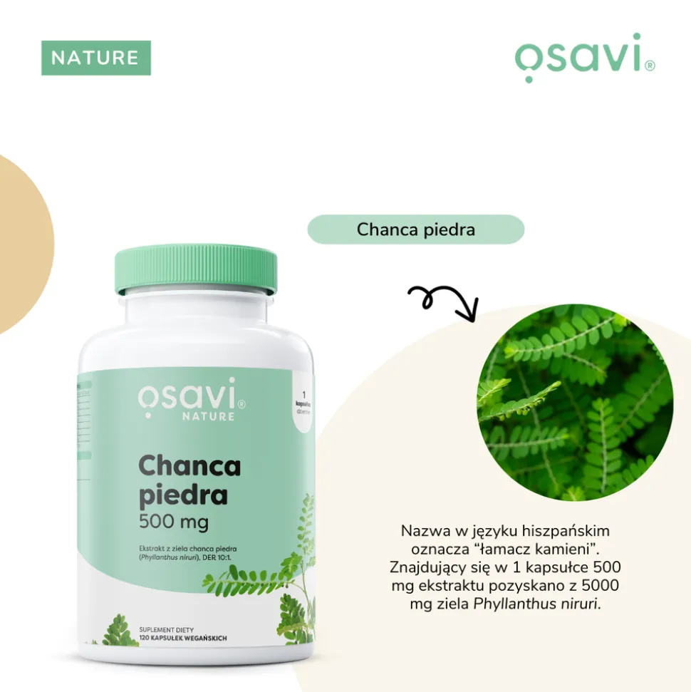 Osavi Chanca piedra 500 mg, kapsułki twarde, 60 szt.