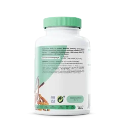 Osavi Cordyceps 1200 mg, kapsułki, 120 szt.