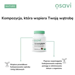 Osavi Ostropest plamisty, sylimaryna 100 mg, kapsułki,  60 szt.