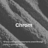 OstroVit Chromium 200, tabletki, 200 szt.