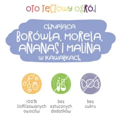 Otolandia Oto Tęczowy Ogród, borówka, morela, ananas, malina, 40 g