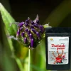 Proherbis Diabelski pazur, proszek, 50 g