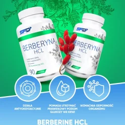 SFD Berberyna HCl, tabletki, 90 szt.