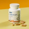 SFD Cordyceps, kapsułki, 60 szt.