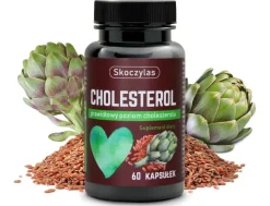Skoczylas Cholesterol, kapsułki, 60 szt.