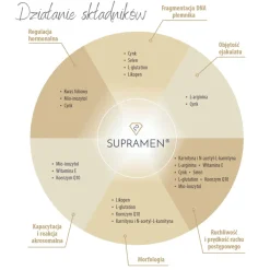 Supramen, kapsułki, 60 szt.
