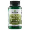 Tribulus Terrestris extract, kapsułki, 60 szt.
