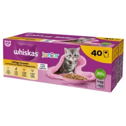 Whiskas Junior Karma mokra, drobiowa uczta w galaretce, saszetki, 40 szt. x 85 g