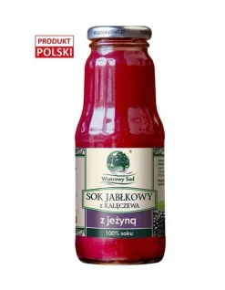 Wiatrowy Sad, sok jabłkowy z jeżyną, 300 ml