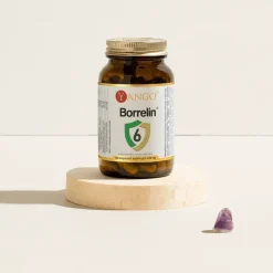 Yango Borrelin® 6, kapsułki, 100 szt.