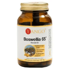Yango Boswellia 65, kapsułki, 90 szt.