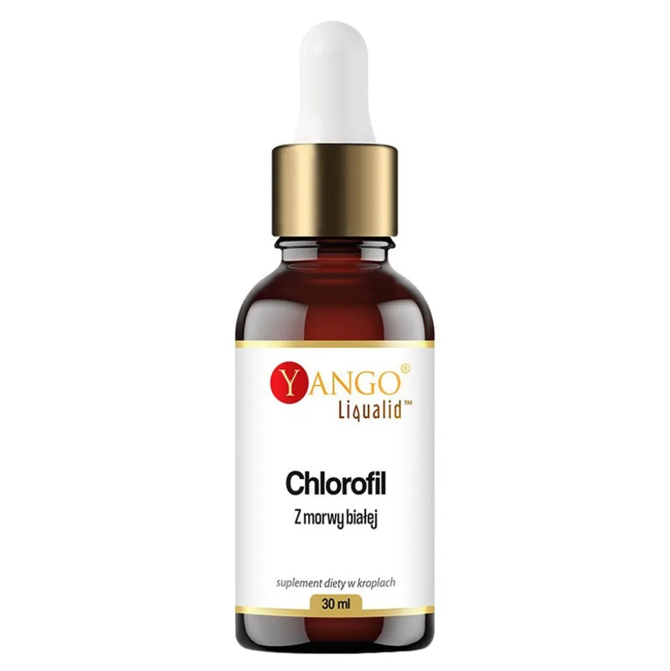 Yango Chlorofil z morwy białej, krople, 30 ml